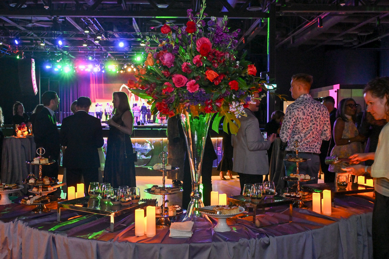NBS Gala