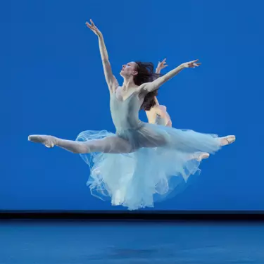 The Sweat Before the Spotlight: A Year in Review at NBS