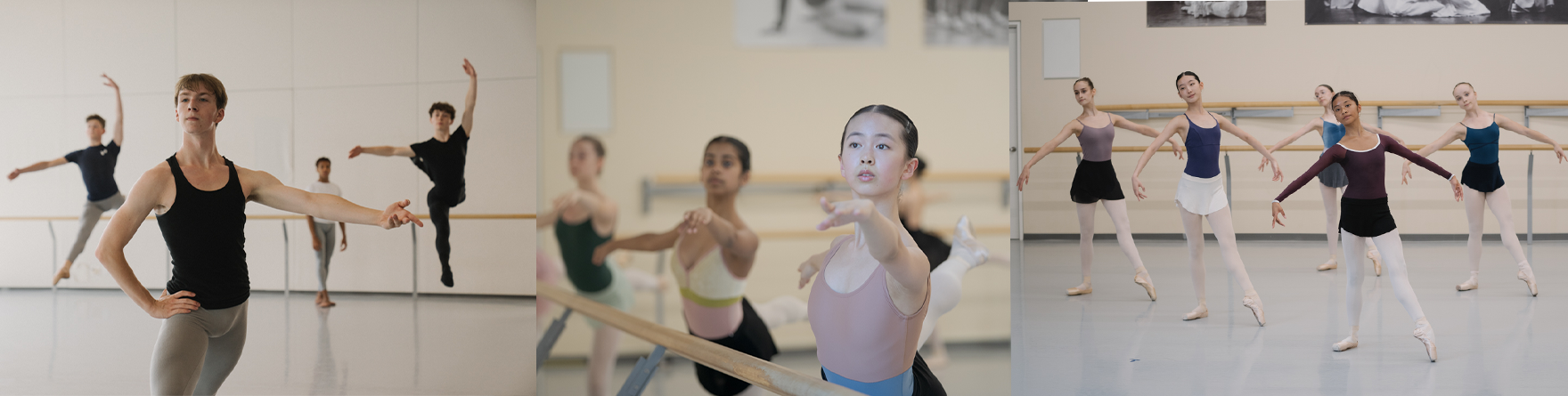 Professional Ballet Summer Program